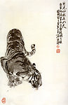猛虎觅食
