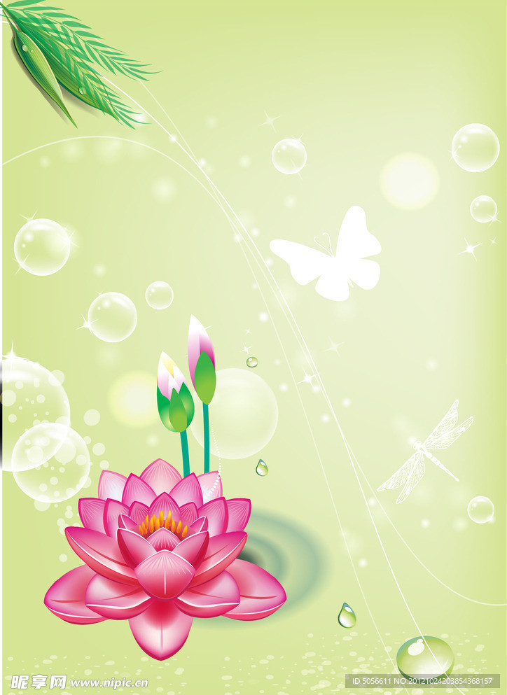 梦幻荷花