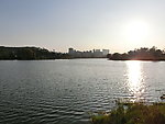 湖水景观