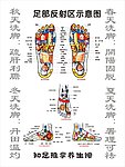 足部反射区示意图