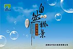 自然枫景海报