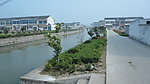 新农村全景