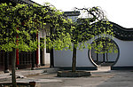 棠下村风景
