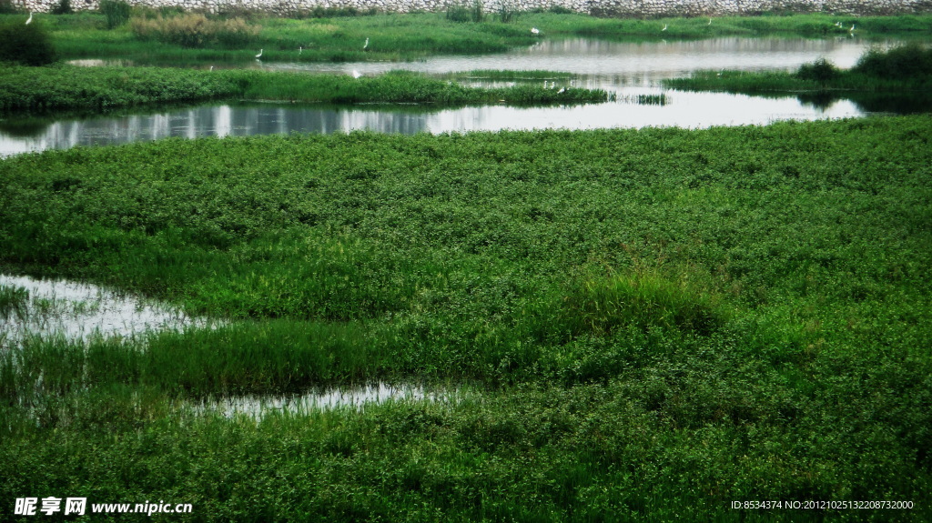 赵河水滨