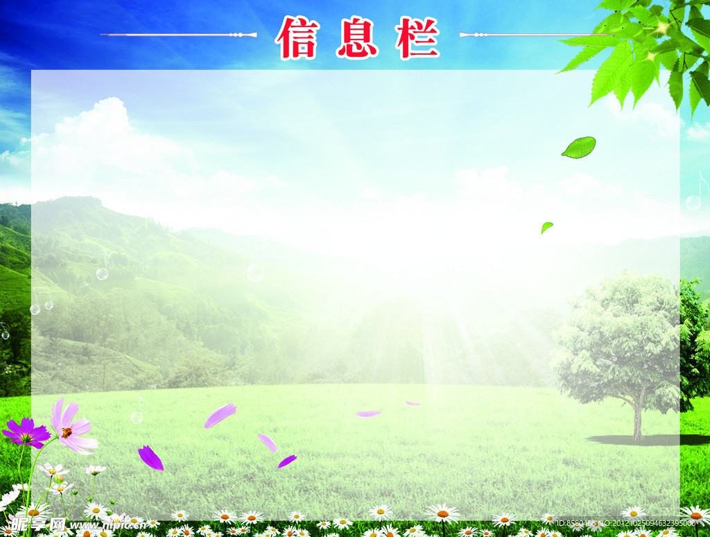 信息栏