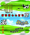 鲜奶吧名片