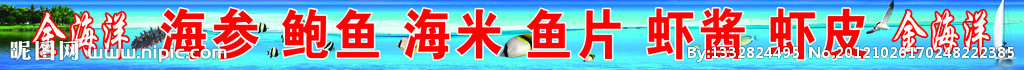 金海洋