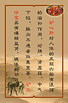 驴肉简介展板