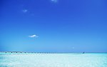 大海