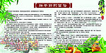 端午节的习俗