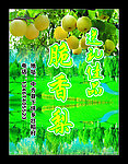送礼佳品脆香梨