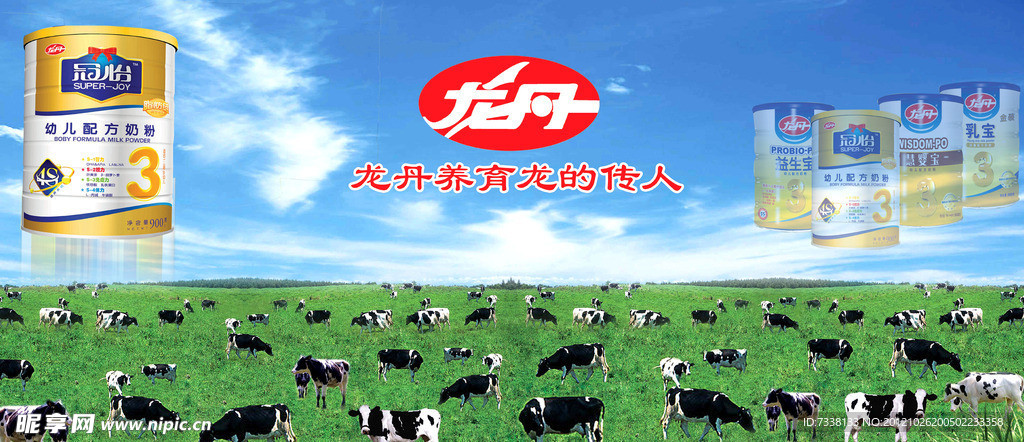 龙丹广告
