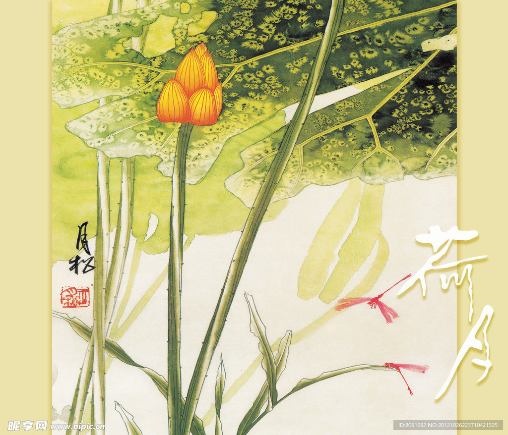 荷花（合层）