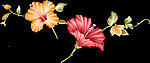 手绘花