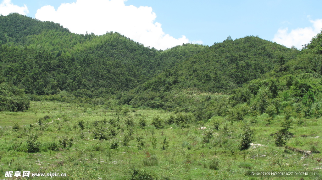 青山绿树