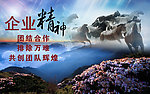 企业精神 群山 花草 马群