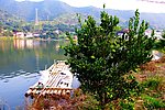 山水风景 茶田风光