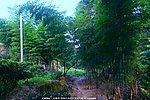 山水风景 自然风光