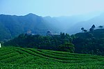 山水风景 自然风光