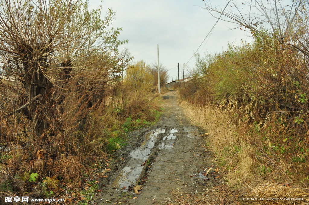 乡村道路