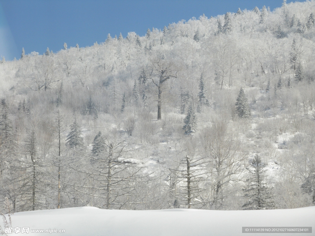 雪乡风景