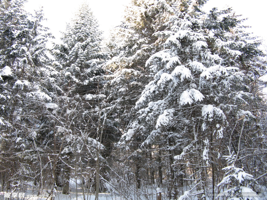 雪乡风景