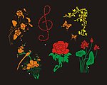 六种花