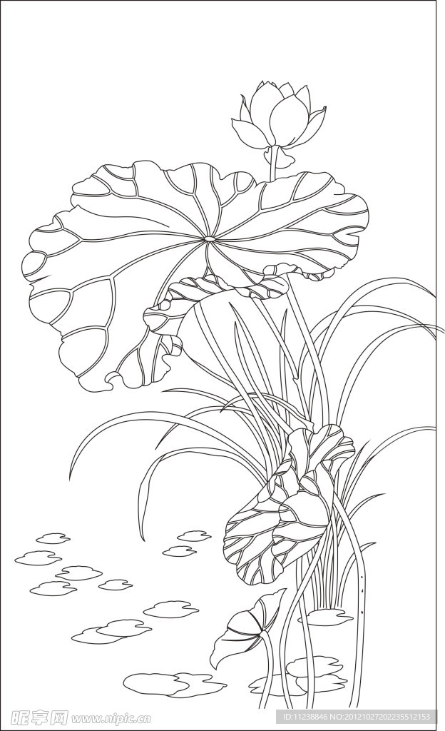 荷花