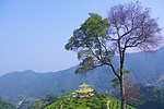 山水风景 茶田风光
