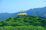 山水风景 茶田风光