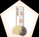 移动飞信广告