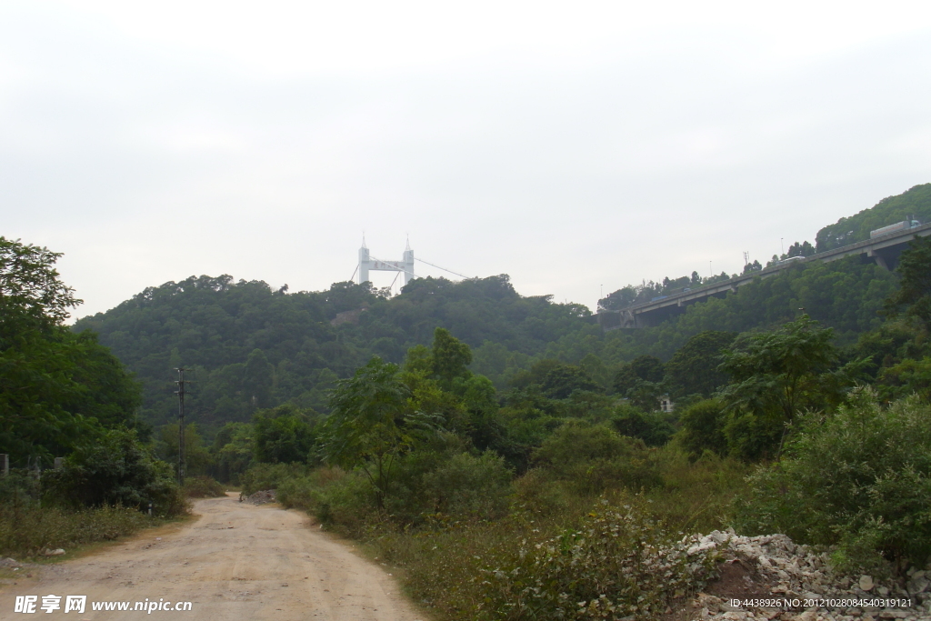 森林风景