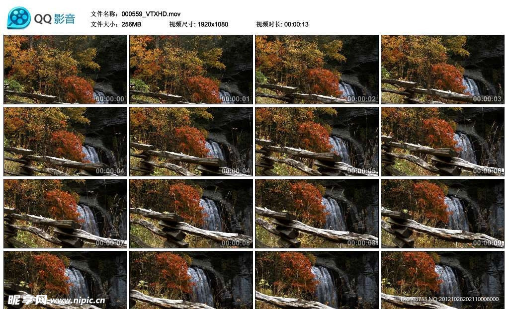 森林中的瀑布高清实拍视频素材