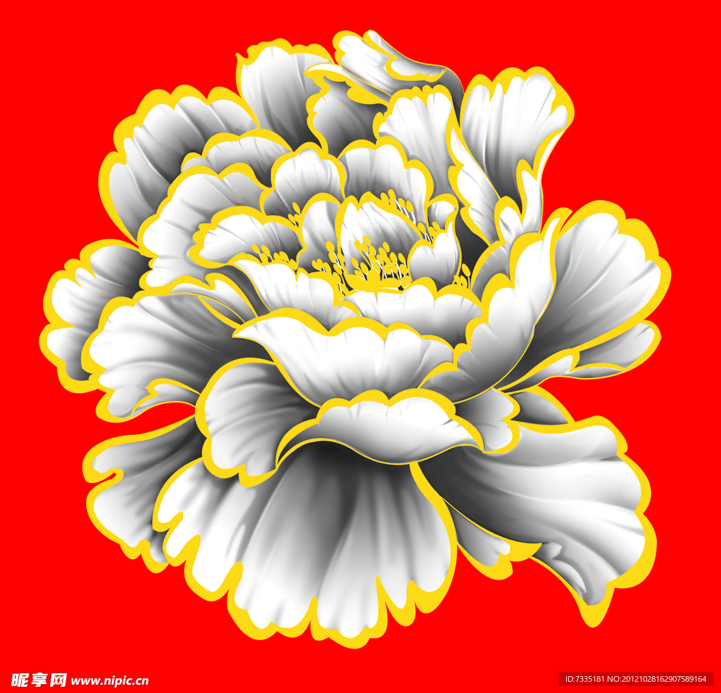 牡丹花