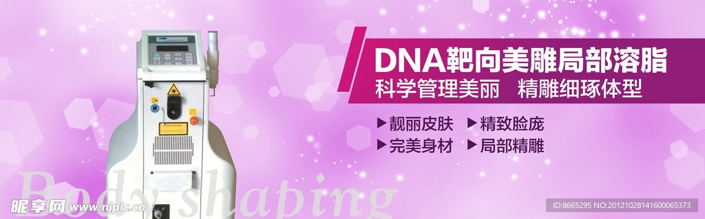 DNA靶向美雕