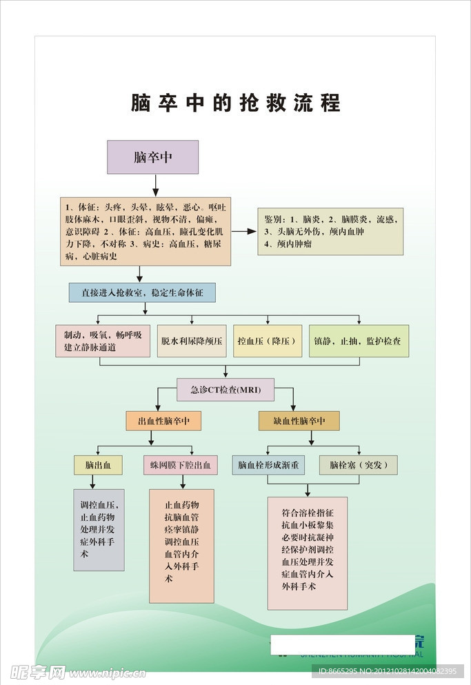 脑卒中的抢救流程