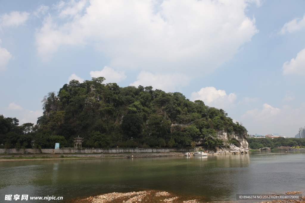 绿树风景