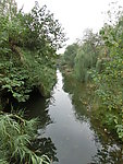 湿地公园 溱湖