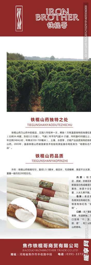 山药展架