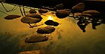 龙池湖黄昏