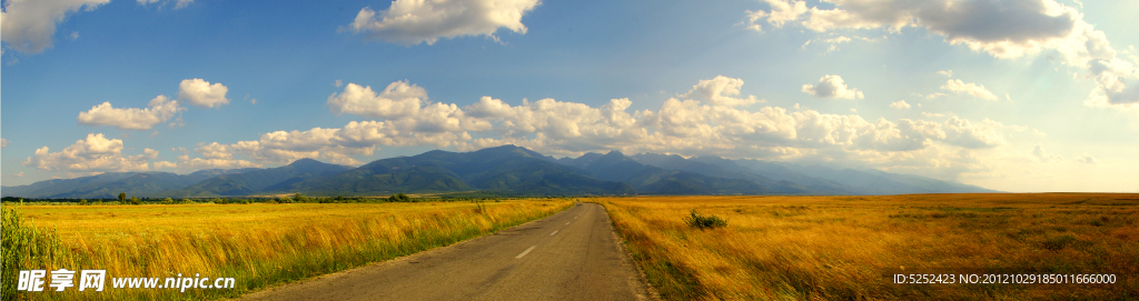 麦田公路全景