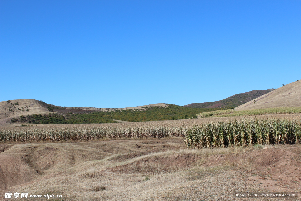 秋天的田野