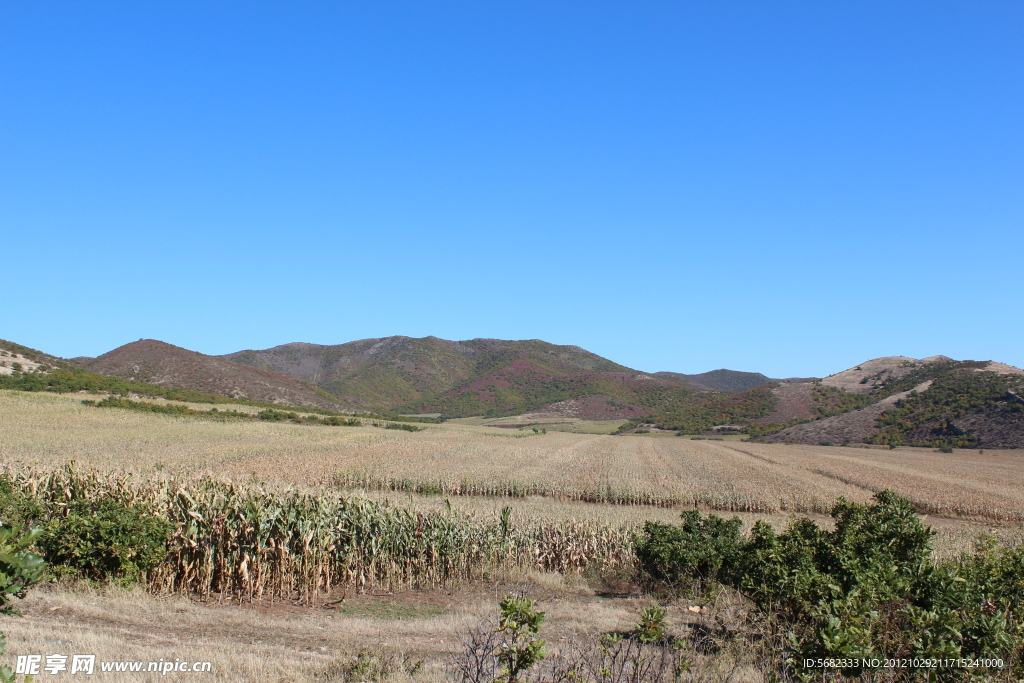 秋天的田野