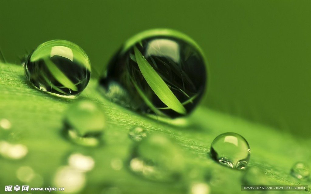 水珠
