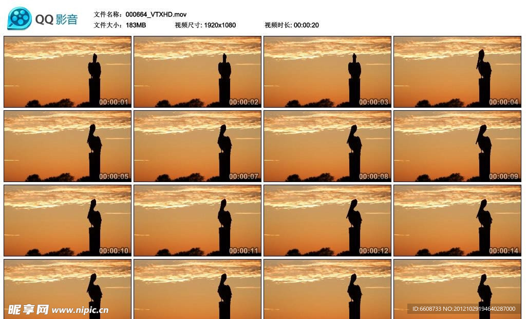 夕阳下的鹈鹕高清实拍视频素材