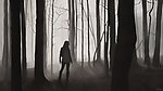 创意宽屏壁纸