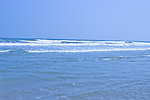 大海