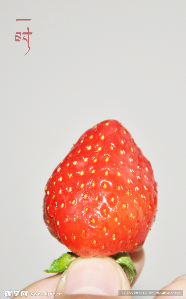 草莓