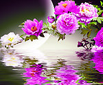 水中花卉