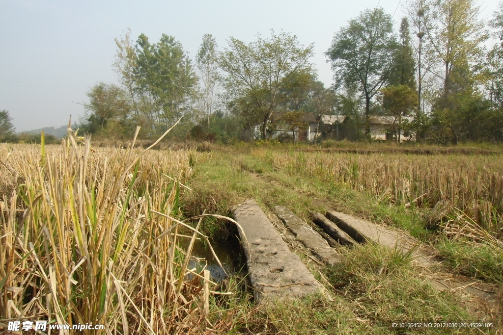 山间小路